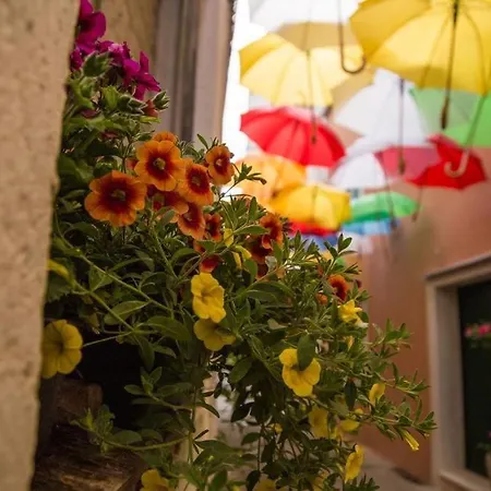 Apartmán Family Pikolo Sveti Filip i Jakov