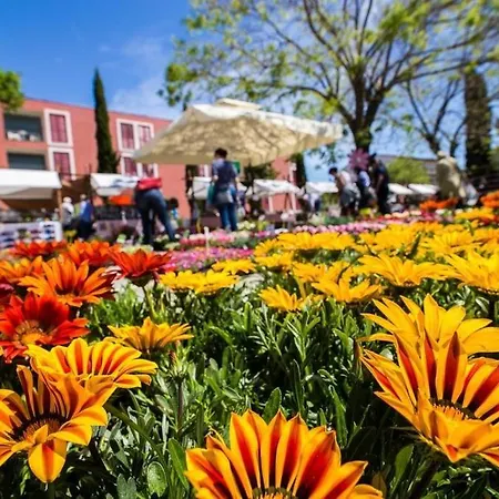 Apartmán Family Pikolo Sveti Filip i Jakov